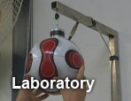 Laboratory - Reaction
