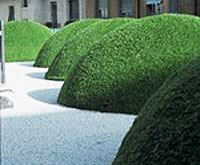 Grass Dome Images