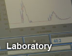 Laboratory - Shock Absorption