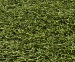 extravert45 artificial grass