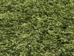 olive artificial grass