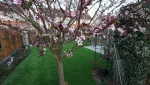 Domestic Artificial Grass Installation